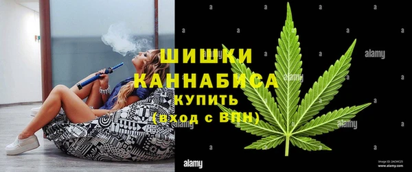 PSILOCYBIN Снежногорск