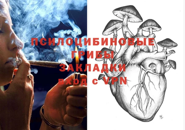 PSILOCYBIN Снежногорск