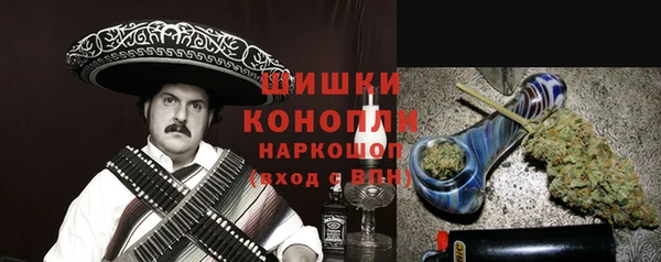 PSILOCYBIN Снежногорск