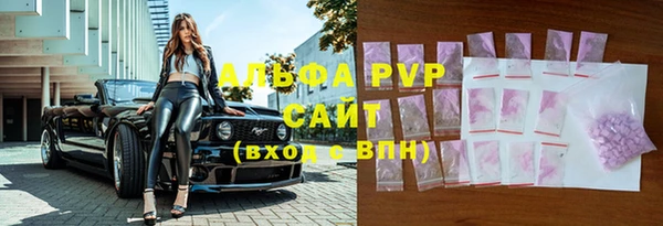 PSILOCYBIN Снежногорск