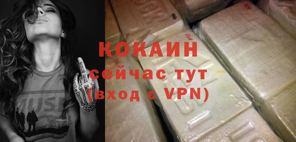 PSILOCYBIN Снежногорск