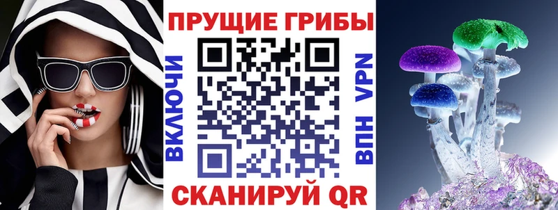 Галлюциногенные грибы Psilocybine cubensis  omg ссылки  Щучье 