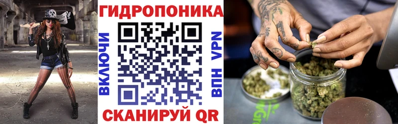 продажа наркотиков  kraken зеркало  МАРИХУАНА SATIVA & INDICA  Щучье 